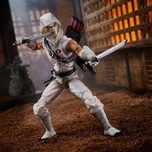 Load image into Gallery viewer, G.I. Joe Classified Series 6-Inch: Storm Shadow vs. Snake Eyes Action Figures (Combo Set)
