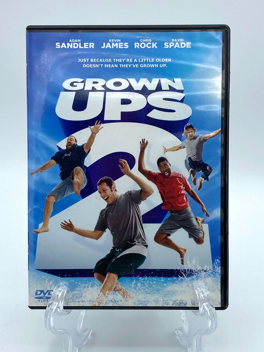 Grown Ups 2 (DVD)